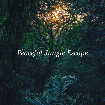 Mother Nature Sound FX and Nature Recordings - Peaceful Jungle Escape