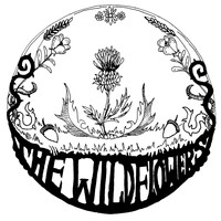 The Wildflowers - The Wildflowers