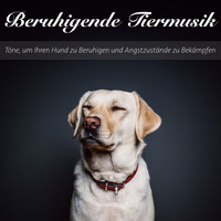 RelaxMyDog, Dog Music Dreams, and Pet Music Therapy - Beruhigende Tiermusik: Töne, Um Ihren Hund Zu Beruhigen Und Angstzustände Zu Bekämpfen