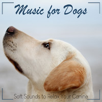 RelaxMyDog, Dog Music Dreams, and Pet Music Therapy - Music for Dogs: Soft Sounds to Relax Your Canine