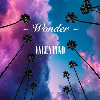Valentino Negri - Wonder