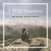 Boudi Aridi - I Will Survive (Deep Mix)