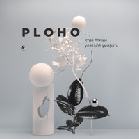 Ploho - Куда птицы улетают умирать