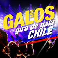 Los Galos - Los Galos (Gira de Gala Chile)