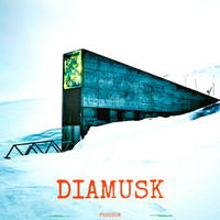 Diamusk - Freedom (Explicit)