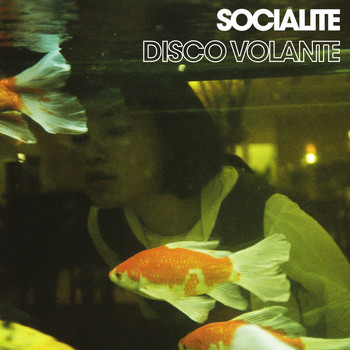 Disco Volante - Socialite