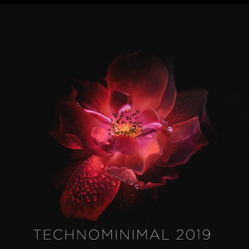 Various Artists - Technominimal 2019