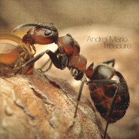 Andrei Mario - Treasure