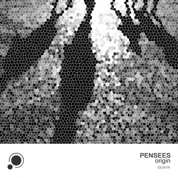 Pensees - Origin