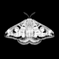 Bilro & Barbosa - Emetic XIV