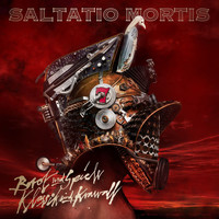 Saltatio Mortis - Ich werde Wind (Krawall Live)