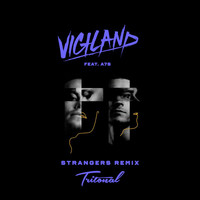 Vigiland - Strangers (Tritonal Remix)