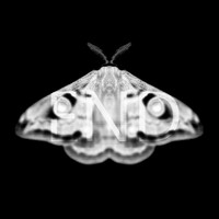 Martyn Hare - Emetic XXXVI