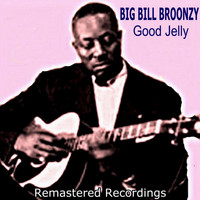 Big Bill Broonzy - Good Jelly