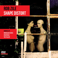 Rob Zile - Shape Distort