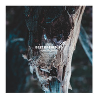 Best of Enemies - Shake the Feeling (feat. Alan Smith)