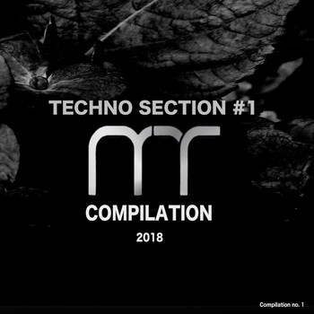 Various Artists - Techno Section - 1 (Compilation 2018 [Explicit])