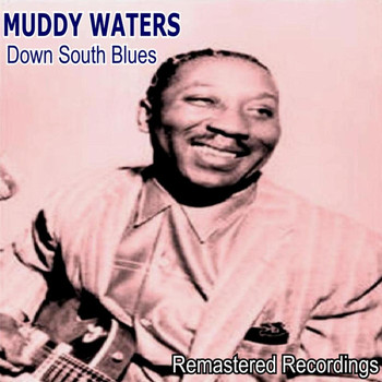 Muddy Waters - Down South Blues
