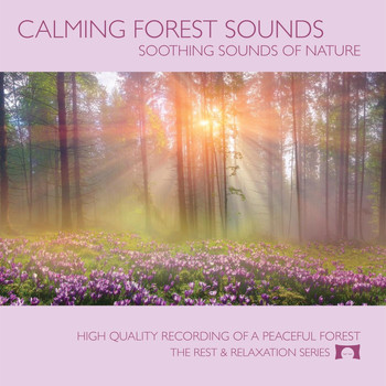 Ryan Judd - Calming Forest Sounds