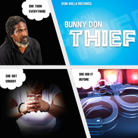 Bunny don - Thief