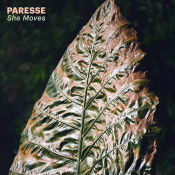 Paresse - She Moves