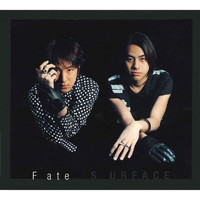 Surface - Fate