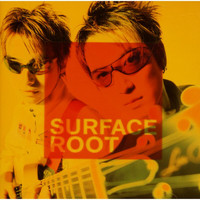 Surface - Root