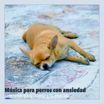 RelaxMyDog, Dog Music Dreams, and Pet Music Therapy - Música para Perros Con Ansiedad: Canciones para Calmar a Tu Mascota