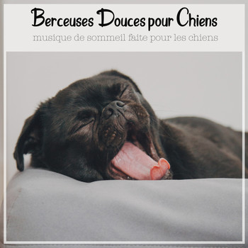 RelaxMyDog, Dog Music Dreams, and Pet Music Therapy - Berceuses Douces pour Chiens - musique de sommeil faite pour les chiens