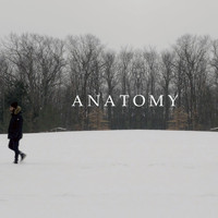 ZAR - Anatomy (Explicit)