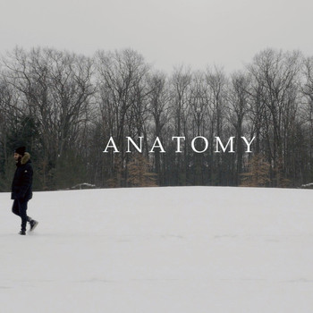 ZAR - Anatomy (Explicit)