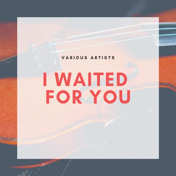 Various Artists - I Waited for You