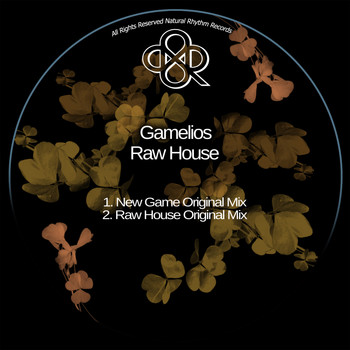 Gamelios - Raw House