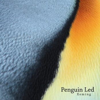 Xeming - Penguin Led