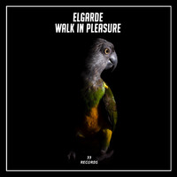 Elgarde - Walk in Pleasure