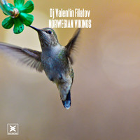 DJ Valentin Filatov - Norwegian Vikings