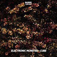 Electronic Monster - Cube