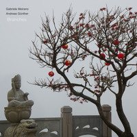Andreas Günther & Gabriele Meirano - Branches