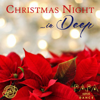 Papa DJ - Christmas Night in Deep