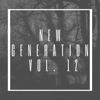 Various Artists - New Generation Vol. 12