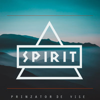Spirit - Prinzator de vise