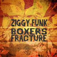 Ziggy Funk - Boxer's Fracture