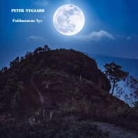Peter Nygaard - Fuldmånens lys