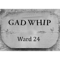 Gad Whip - Ward 24 (Explicit)
