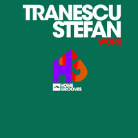 Tranescu Stefan - Work