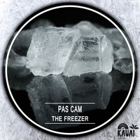 Pas Cam - The Freezer