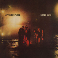 Little Gang - After The Flood