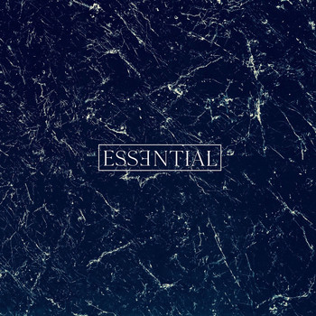 MTD - ESSENTIAL 001