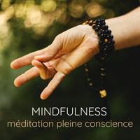 Oasis de Détente et Relaxation - Mindfulness méditation pleine conscience – Zen pour vivre au présent et méditation pour l'éveil spirituel