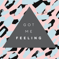 Doctor Roberts - Got me Feeling